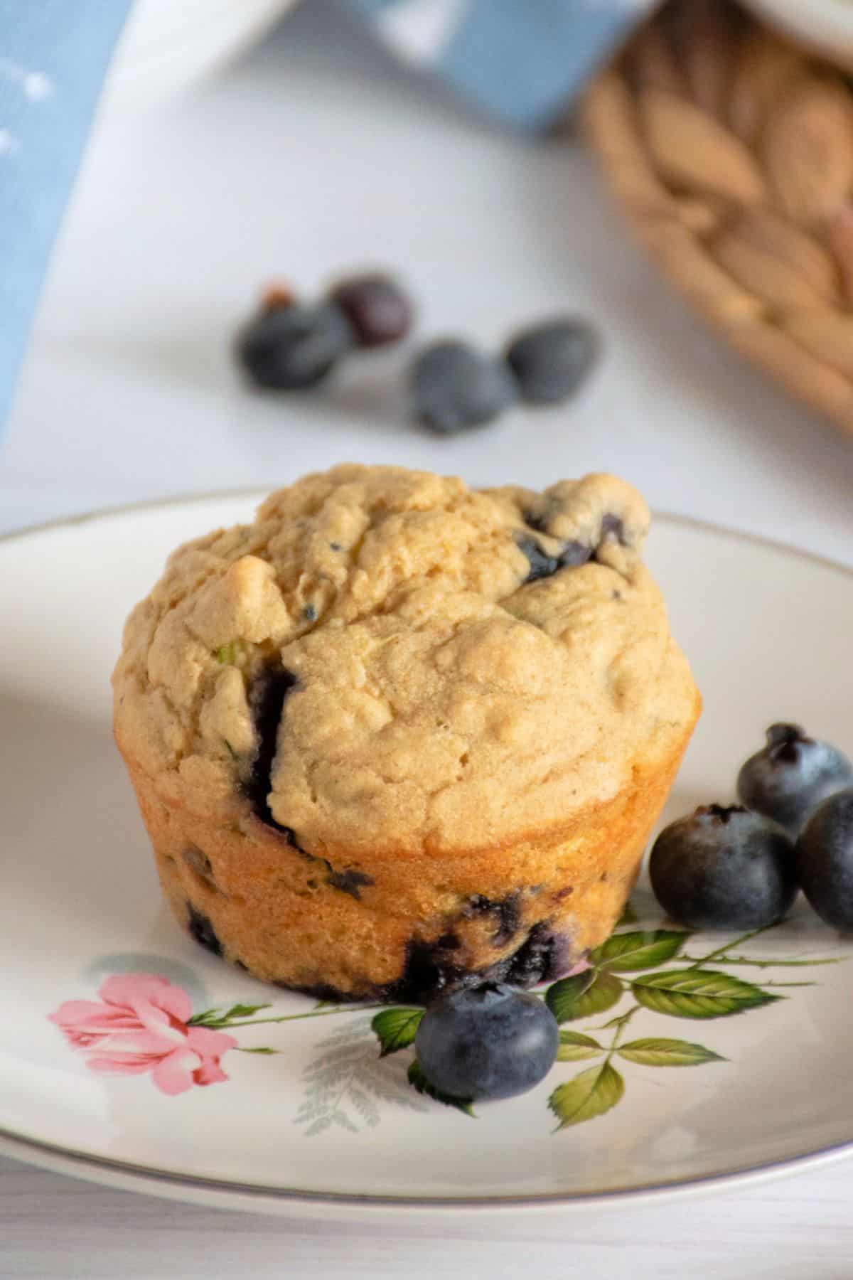 A muffin on a plate, with blueberries around it.