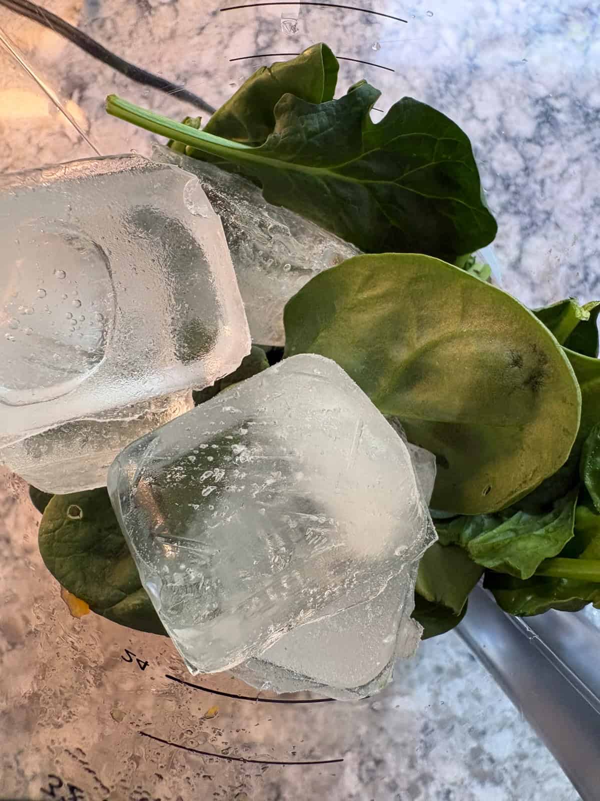 Ice added to the blender.