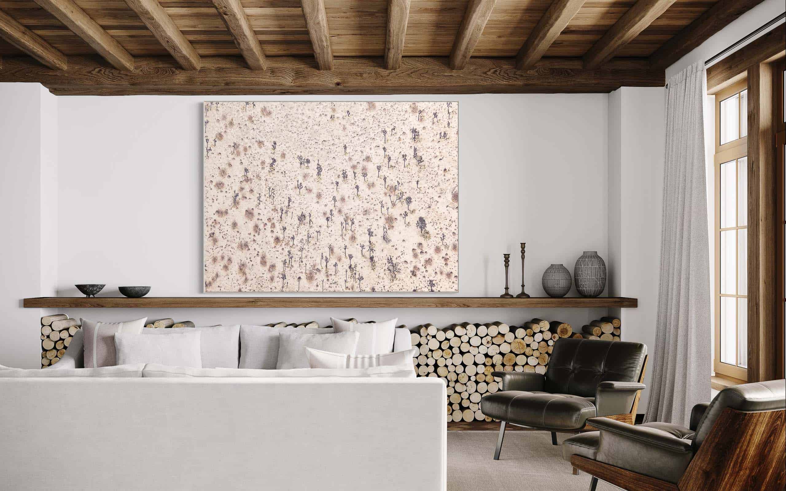 Interior - Joshua Tree Shadows