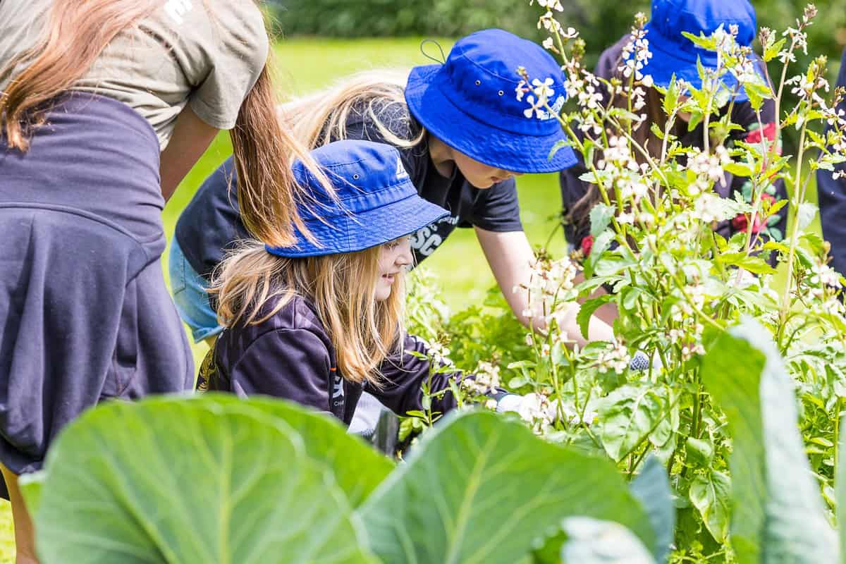 Children gardening at Bell Block School, New Zealand, outdoor educational activity.