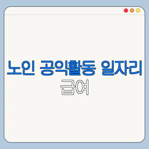 노인 공익활동 일자리 급여 | 신청자격 | 활동내용 | 2026