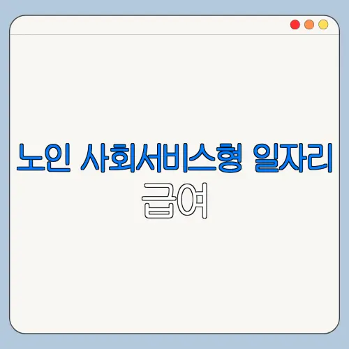 노인 사회서비스형 일자리 급여 | 자격 | 종류 | 2026