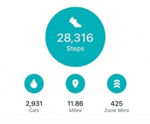 Hiking Tameside Peaks - Step Count Display.