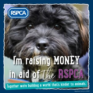 Dog raising money for RSPCA charity.