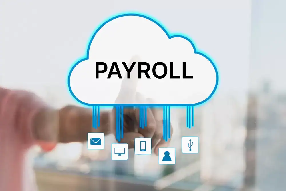 Flexible cloud payroll software solution for efficient employee salary management and processing.