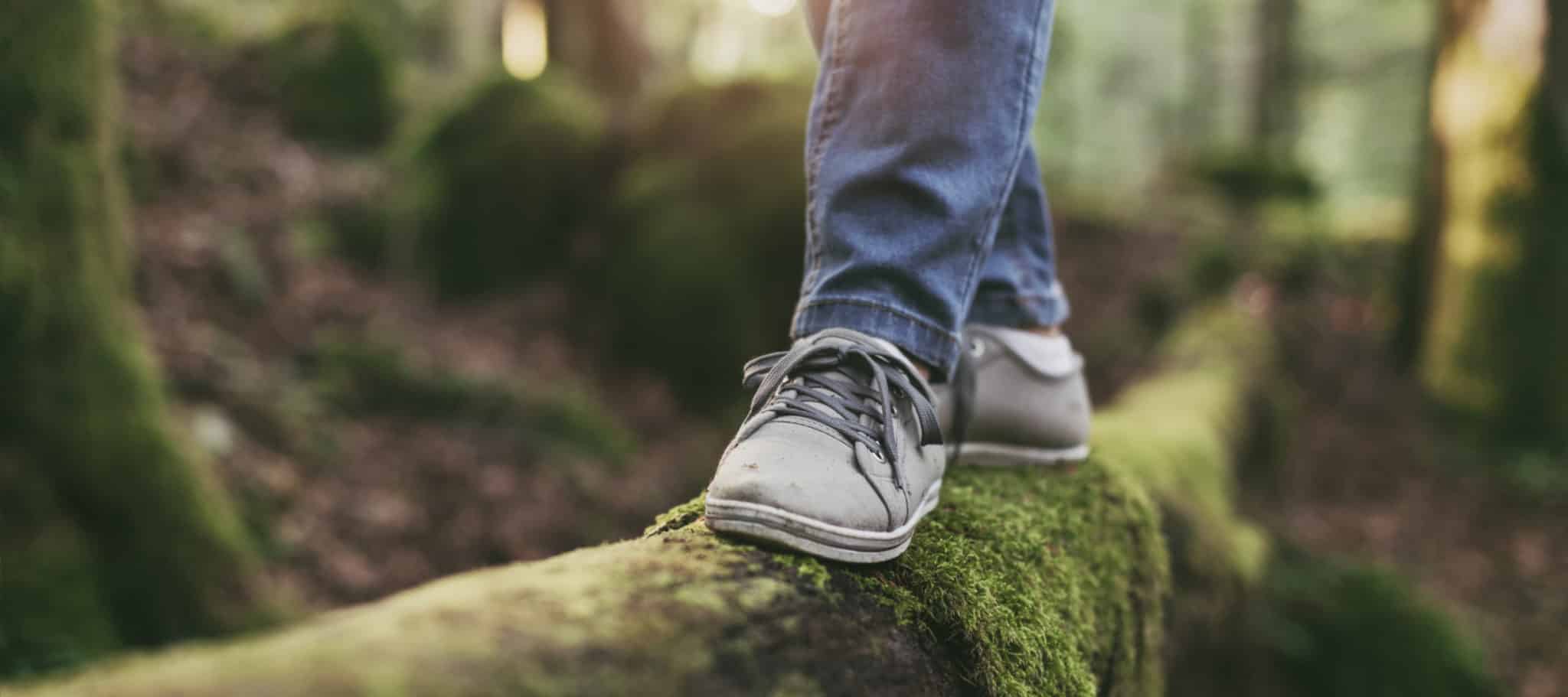 balance and health in nature.