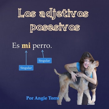 Los adjetivos posesivos
