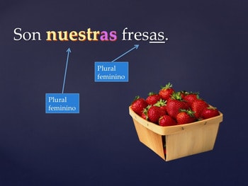 Los adjetivos posesivos Spanish Possessive Adjectives PowerPoint for Spanish One - Image 4