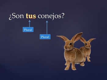 Los adjetivos posesivos Spanish Possessive Adjectives PowerPoint for Spanish One - Image 2