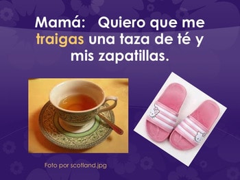 Spanish Perfect, Imperfect and Pluperfect Subjunctive PowerPoint - Image 2