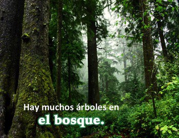 Spanish Places Los lugares PowerPoint & Interactive Notebook Activity - Image 4