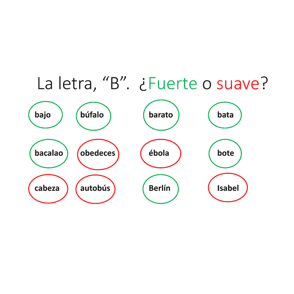 Spanish Alphabet El alfabeto Interactive Notebook Activities - Image 4