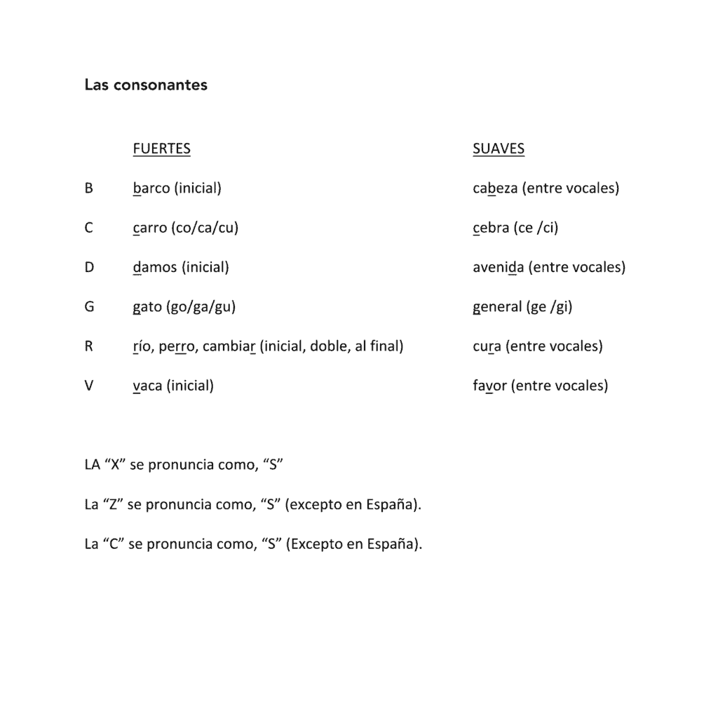 Spanish Alphabet El alfabeto Interactive Notebook Activities - Image 5