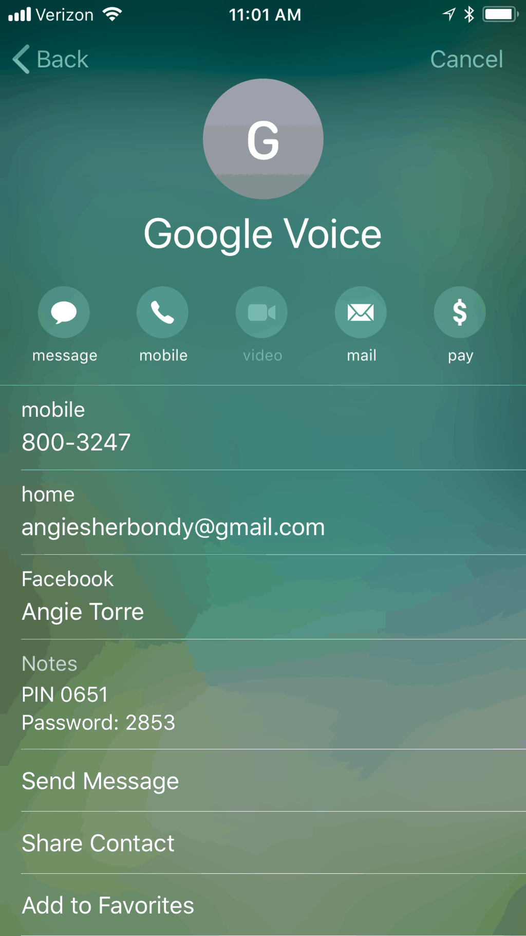 Google Voice on Iphone