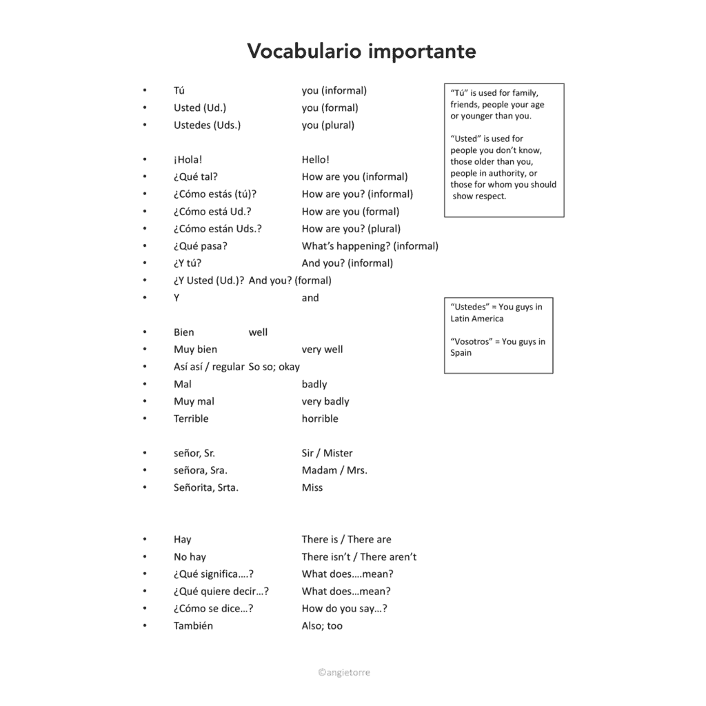 Spanish Tú, usted, ustedes Interactive Notebook Activities - Image 4