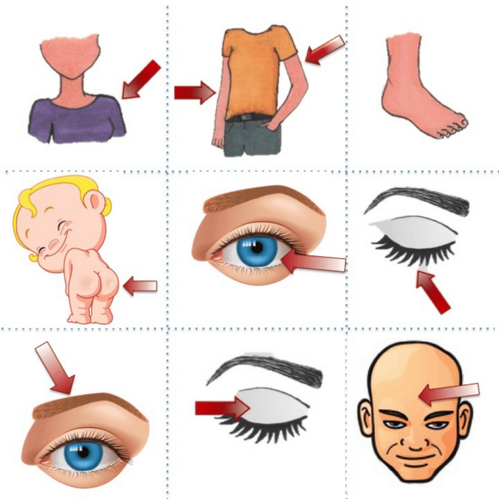 Spanish Body and Health El cuerpo y la salud Paired and Group Activities - Image 3