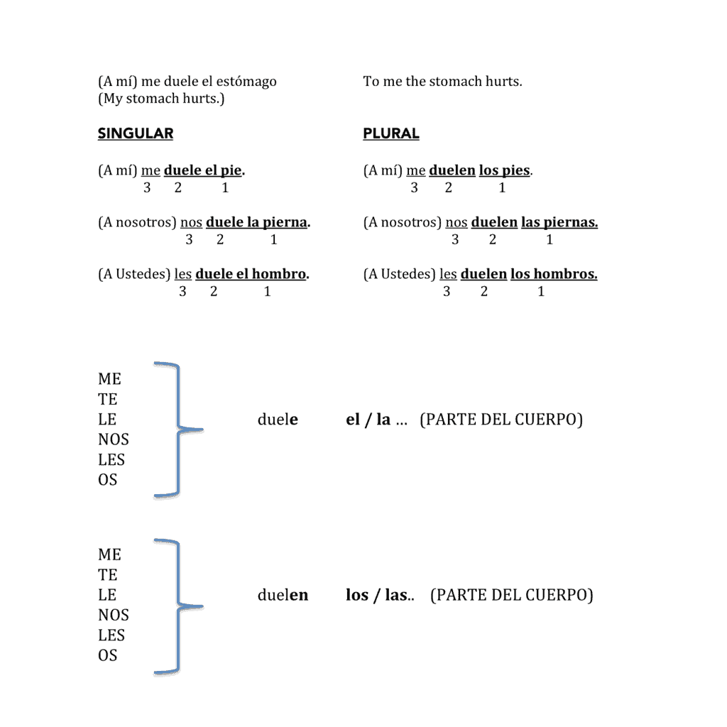 Spanish Body and Health El cuerpo y la salud Paired and Group Activities - Image 4