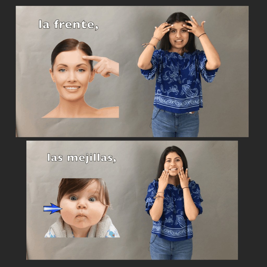 Spanish Body and Health El cuerpo y la salud Video - Image 4