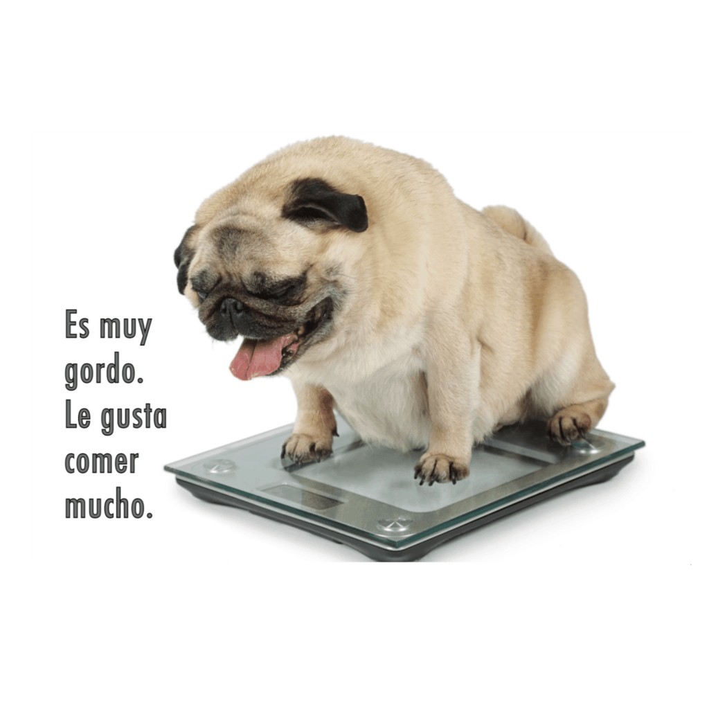 Spanish Adjectives Los adjetivos Video for Comprehensible Input - Image 3