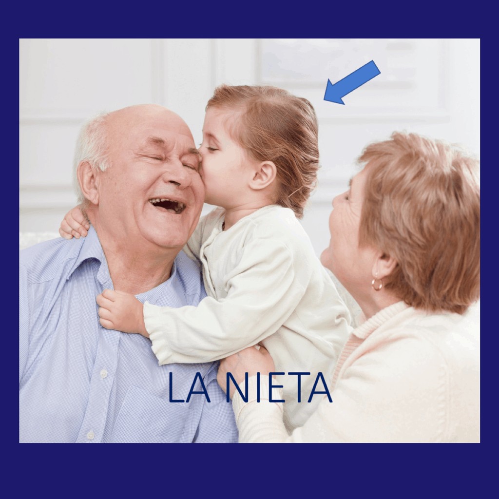 Spanish Family and Possessive Adjectives Lesson Plans and Curriculum - Image 3