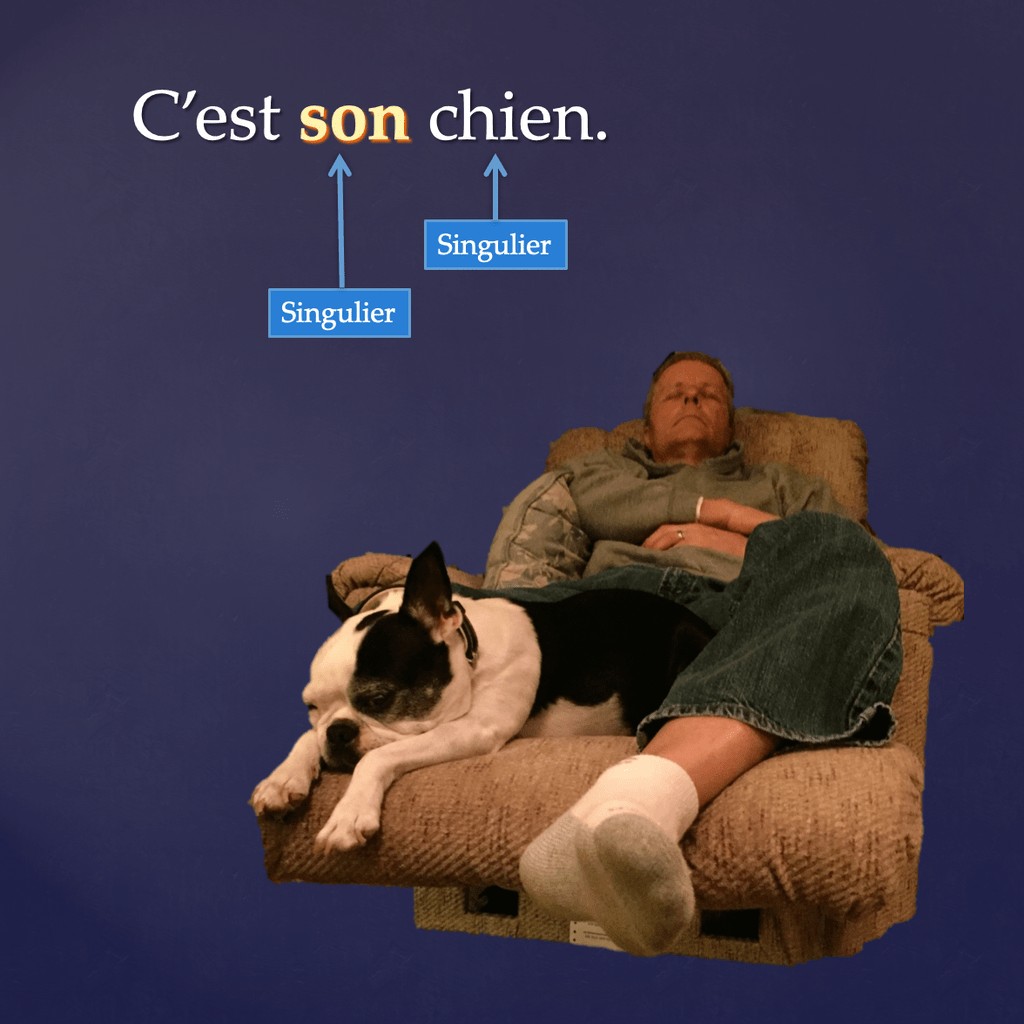 French Possessive Adjectives PowerPoint and Activities - Image 2