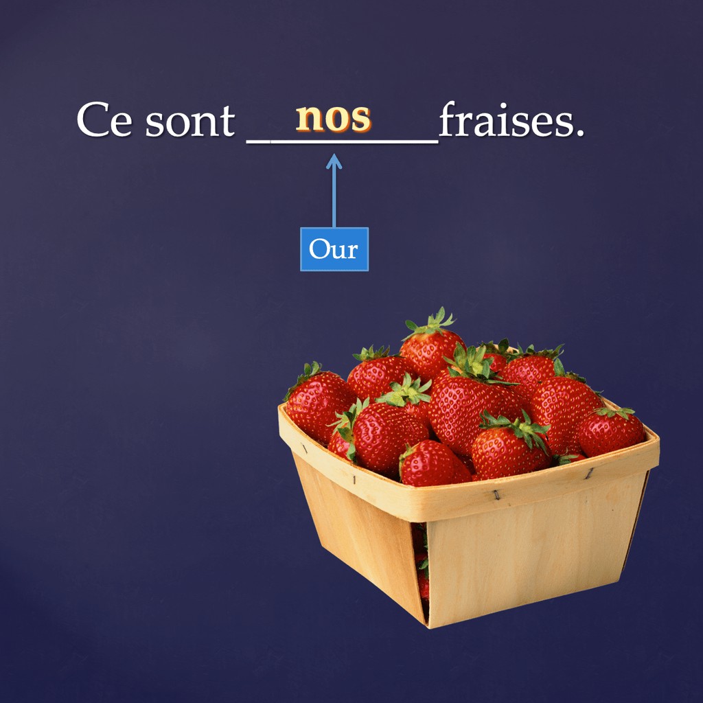 French Possessive Adjectives PowerPoint and Activities - Image 3
