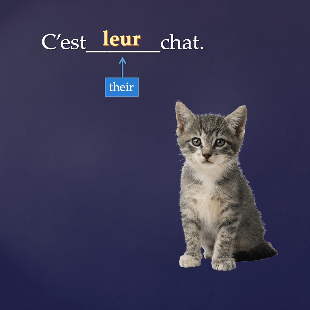 French Possessive Adjectives PowerPoint and Activities - Image 4