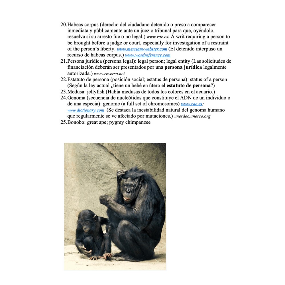 AP Spanish Lesson Plans and Curriculum for Los desafíos mundiales - Image 4