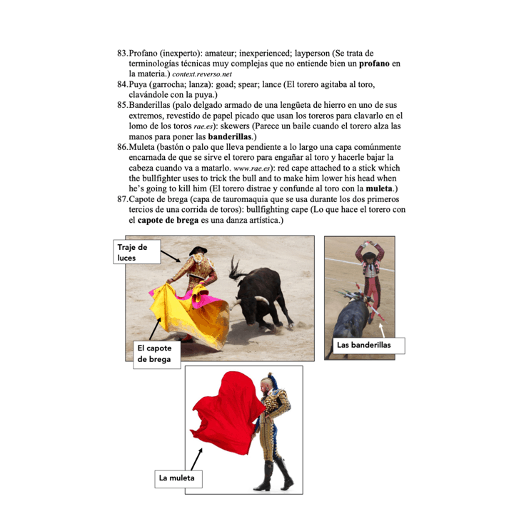 Las familias y las comunidades Lesson Plans for AP Spanish - Image 4