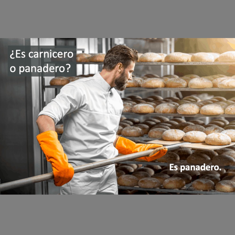Las profesiones: ¿Es carnicero o panadero?
