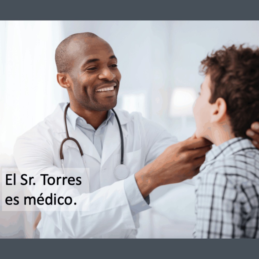 Las profesiones: El Sr. Torres es médico.