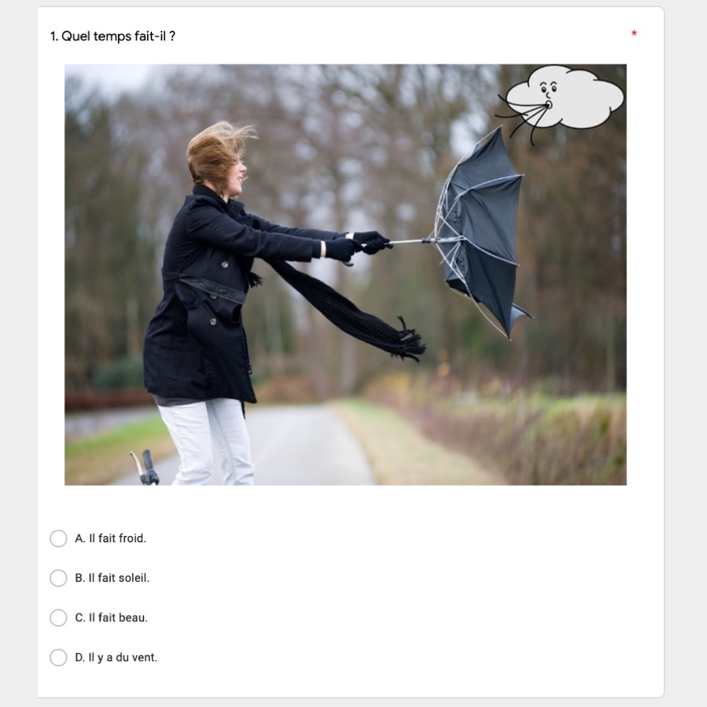 Le Temps French Weather Vocabulary Google Forms Activity - Image 2