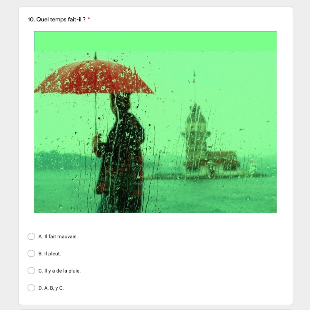 Le Temps French Weather Vocabulary Google Forms Activity - Image 3