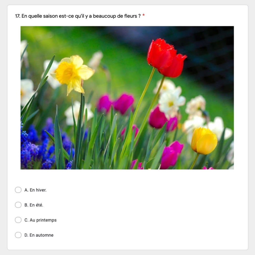 Le Temps French Weather Vocabulary Google Forms Activity - Image 4
