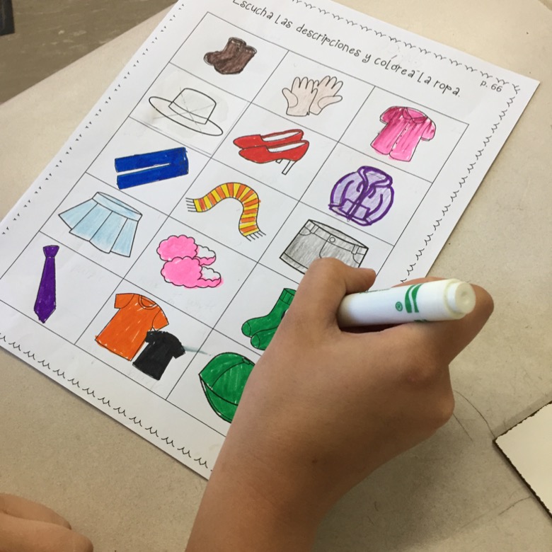 Spanish Clothing and Colors La ropa y los colores Lessons Plans and Curriculum - Image 3