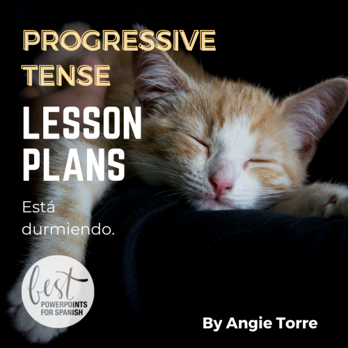 Spanish Gerund Lesson Plans and Curriculum Cat sleeping Está durmiendo.