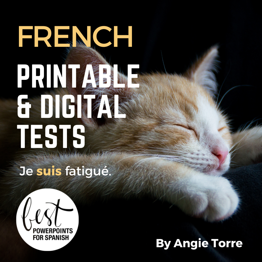 French Tests, Assessments, and Activities Printable and Digital sleeping cat Je suis fatigué.
