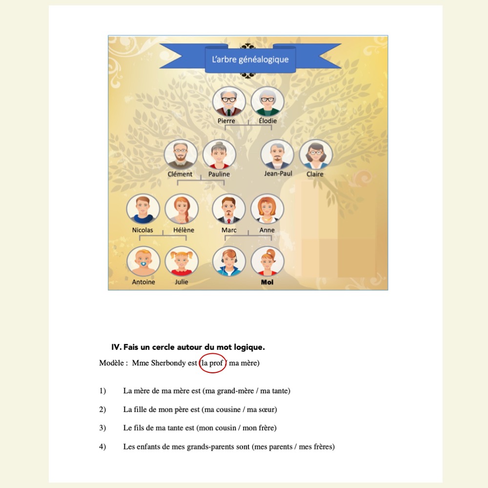 La famille French Family and Possessive Adjectives Digital and Printable Tests - Image 4