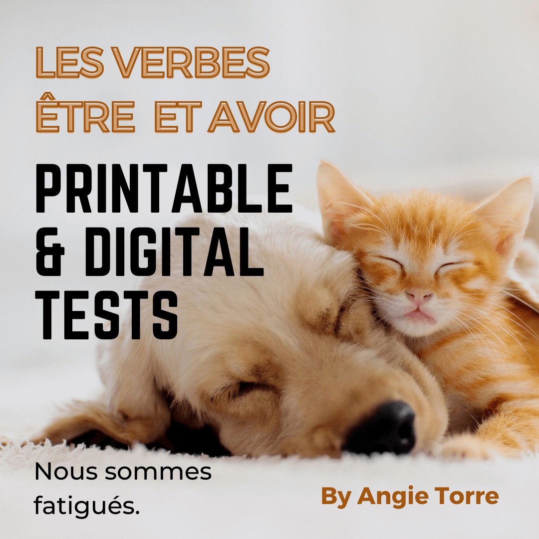 Être and Avoir French Printable and Digital Tests Nous sommes fatigués. Dog and cat sleeping
