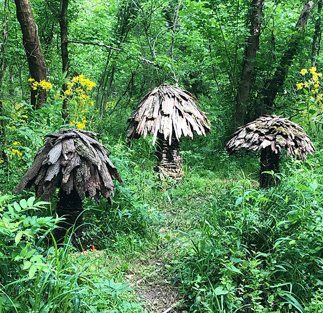 Fine Arts at Blue Heron Nature Preserve