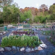 Community Garden at BHNP