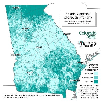 Bird Migration Map