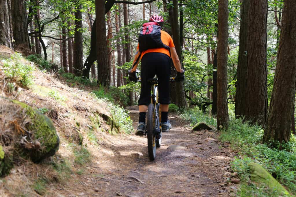 A person riding a bike through a forest. A person riding a bike through a forest.