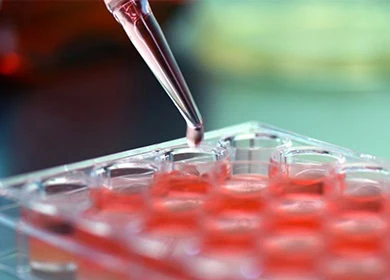 Cell Therapy