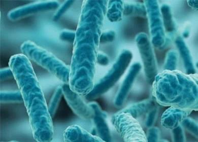 Biological Enzyme Preparation