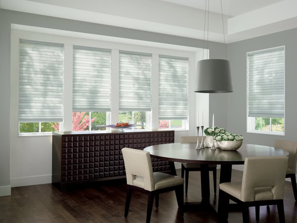 Light-filtering window blinds in modern dining room for privacy and style, suitable for various interior designs.