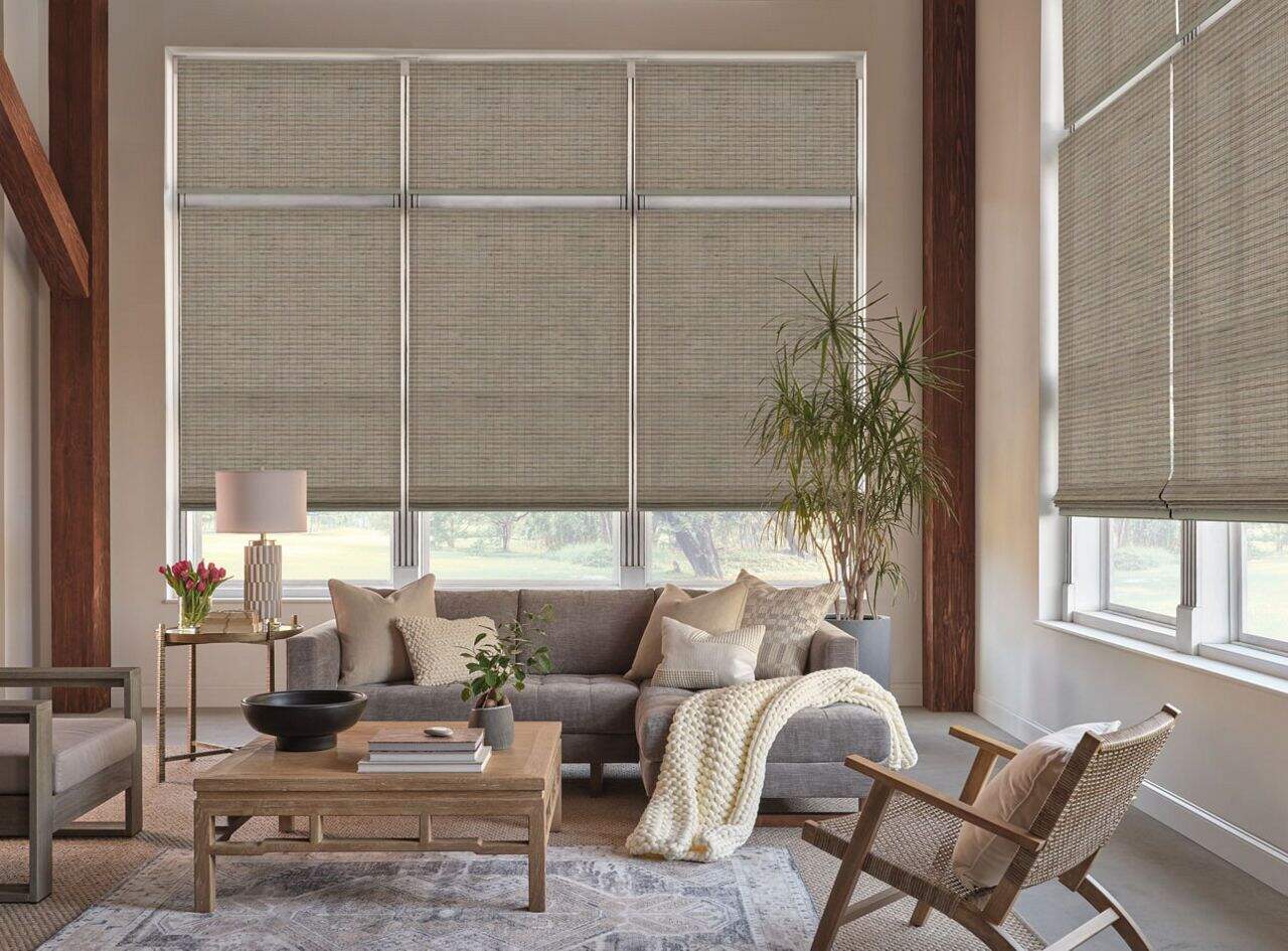 Bright living room with window blinds, comfortable sofa, indoor plants, and modern decor, creating a welcoming and stylish space.