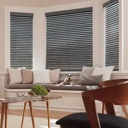 A cozy living room with large windows featuring black horizontal blinds, a light-colored sofa with cushions, a small dog lying on the sofa, and a wooden coffee table with decor.