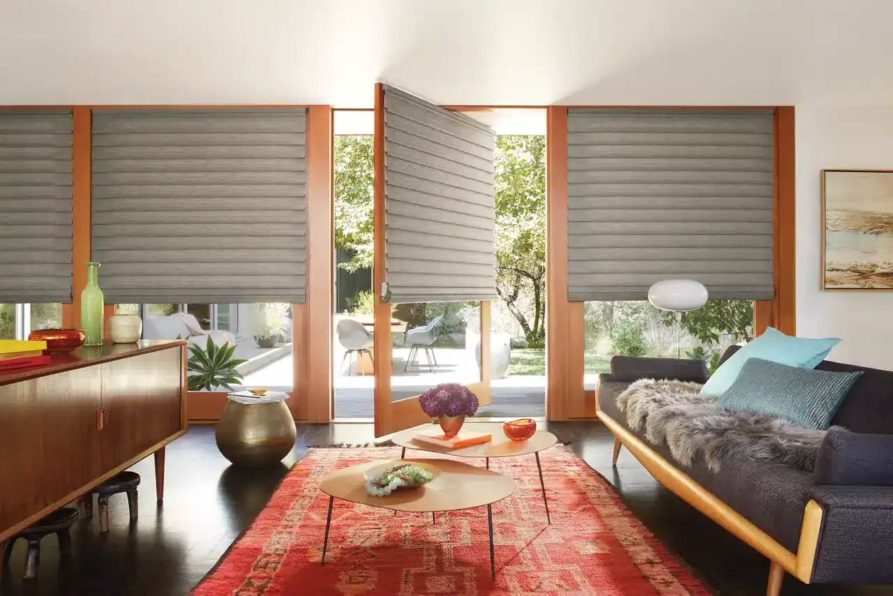 Bright living space with large windows, gray roller shades, contemporary furniture, a vibrant area rug, and decorative accents for a cozy yet modern atmosphere.