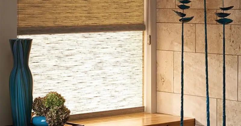 Elegant window with Duolite upgrade, combining light-filtering and blackout options, perfect for controlling natural light and privacy. Ideal for modern home interiors.